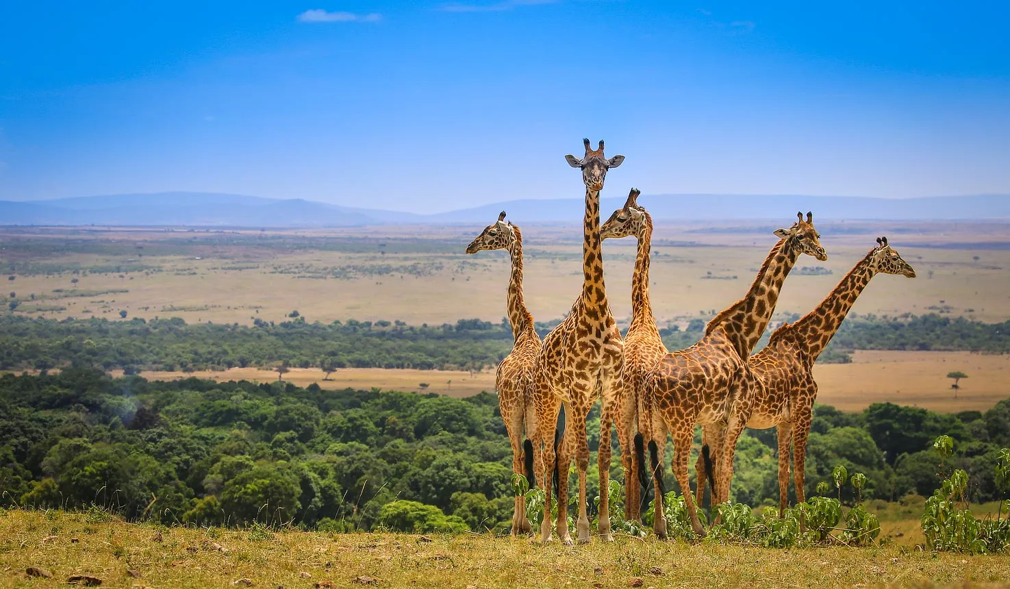 Kenya Tour Package
